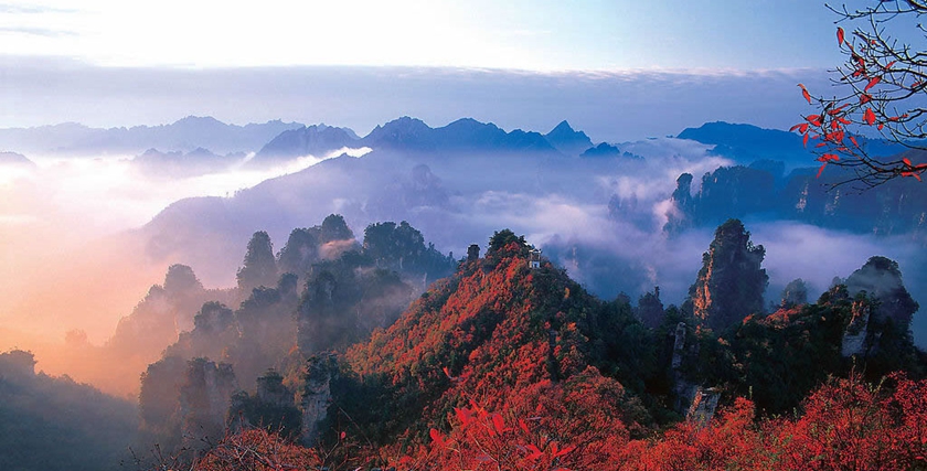 Wolong Nature Reserve