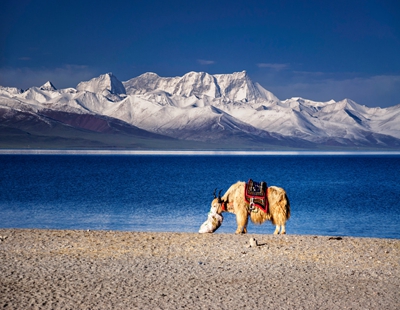 Namtso Lake