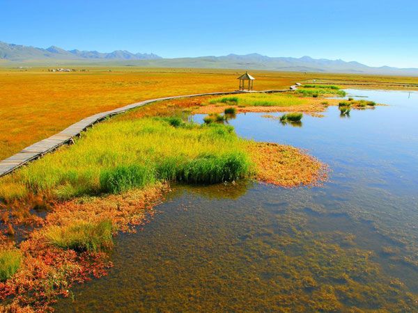 Zoige Wetland Park