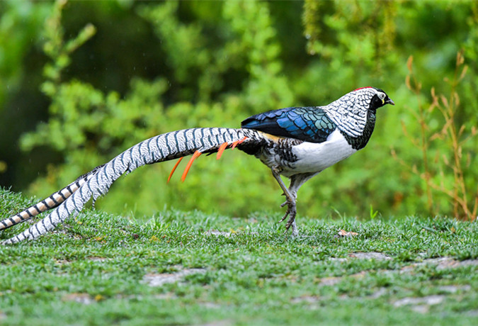 12 Days Photograph the Wild Side of Yunnan