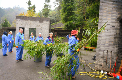  1 Day Panda Volunteer & Exploring Tour