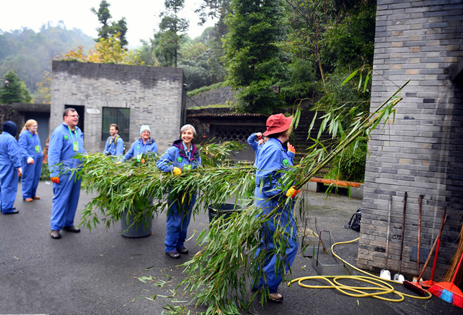  1 Day Panda Volunteer & Exploring Tour