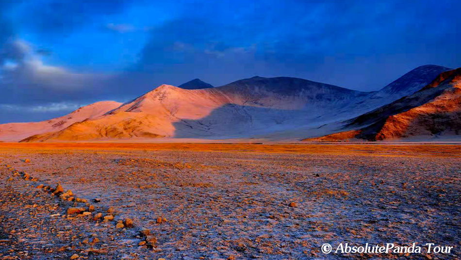 Wild-Yak-Valley-(2).jpg