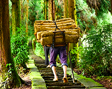 蒙顶山.jpg