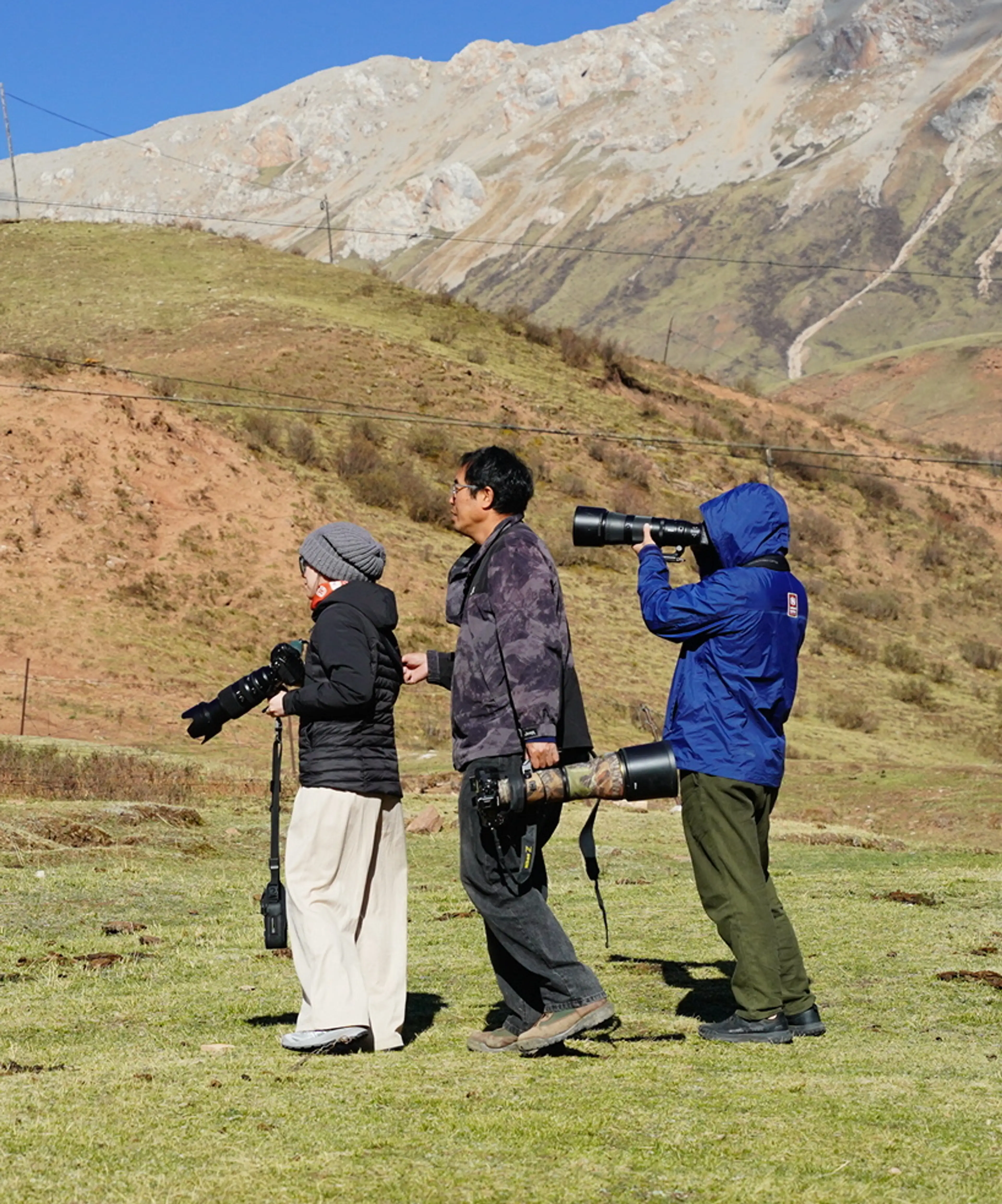 Team Working in the Field
